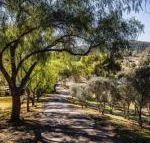Capers Guesthouse Barn  Cottage - Holiday Cairns