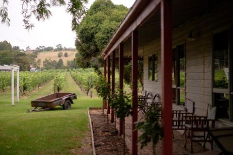 Fergusson Winery Homestead Accomodation - Holiday Cairns 2