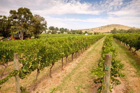 Fergusson Winery Homestead Accomodation - Holiday Cairns 3