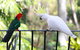 Palm Beach Bed & Breakfast - thumb 4