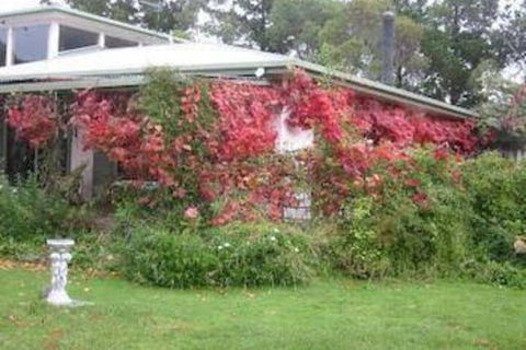 Castagni Bed & Breakfast - Holiday Cairns 2