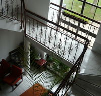 Blackboy Tree Motel - Holiday Cairns