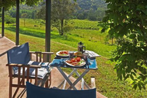 Cedar Creek Cottages - Holiday Cairns 1