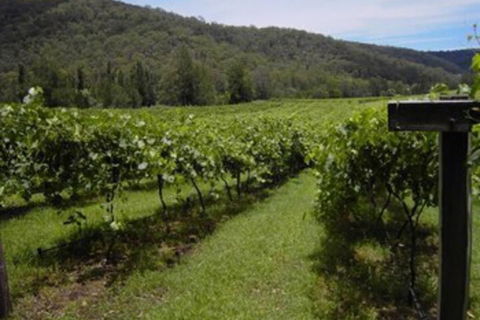 Cedar Creek Cottages - Holiday Cairns 2