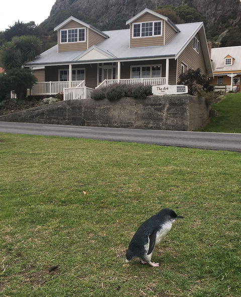 The Ark Stanley - Holiday Cairns 4