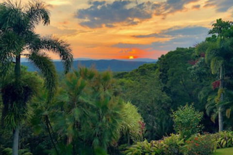Daintree Manor Bed & Breakfast - Holiday Cairns 0