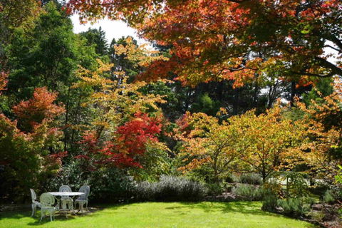 Wimbeldon - Holiday Cairns 4