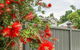 Vintage Charm On St. Leonards - thumb 5