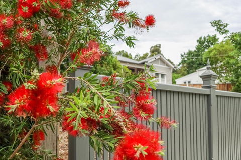 Vintage Charm On St. Leonards - Holiday Cairns 5