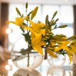 KUI Manhattan Apartments - Holiday Cairns 0