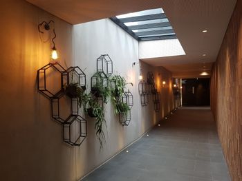 Richmond Lifestyle Apartment - Holiday Cairns 2