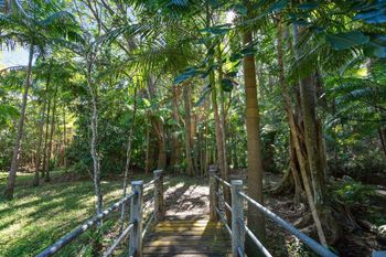 Paperbark - Holiday Cairns 1