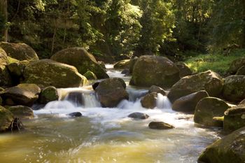 The Cedars Cottages - Holiday Cairns 2