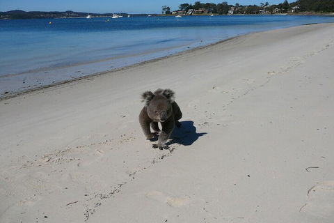 The Mitchells Waterfront Bed & Breakfast - Holiday Cairns 7