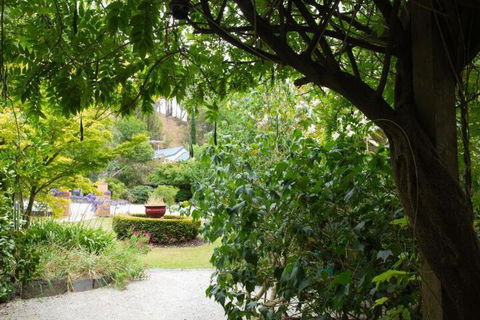 Valley Guest House - Holiday Cairns 3