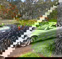 Valley Farm Vineyard Cottages - Holiday Cairns