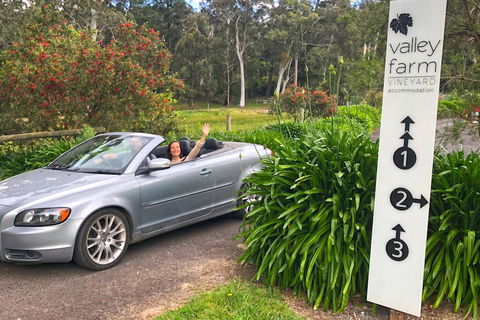 Valley Farm Vineyard Cottages - Holiday Cairns 0