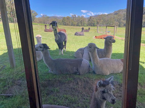 Valley Farm Vineyard Cottages - Holiday Cairns 2