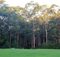Tinglewood Cabins - Holiday Cairns