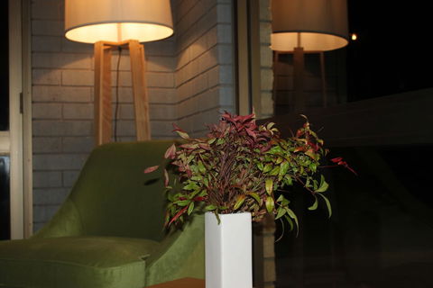 Mount Gambier International Motel - Holiday Cairns 1