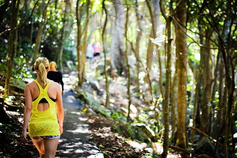 Cashelmara Beachfront Apartments - Holiday Cairns 0