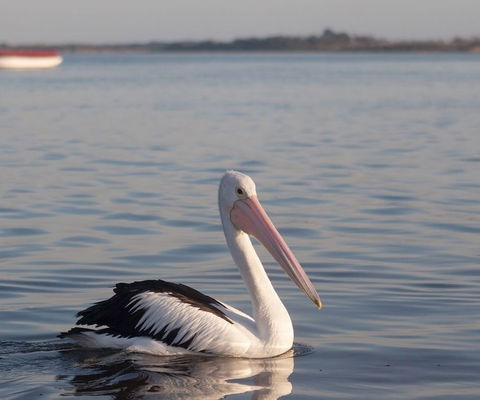 Oak Tree Lodge - Holiday Cairns 1