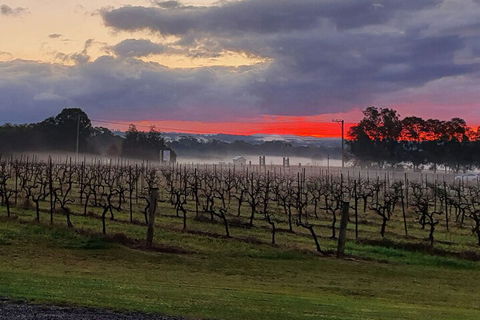 Adina Vineyard - Holiday Cairns 4