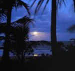 Sejala Beach Huts - Holiday Cairns