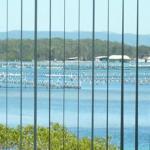 Montgomery Apartments - Holiday Cairns 1