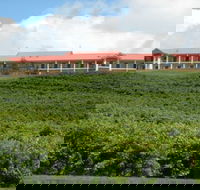 Turners Vineyard Motel and Function Centre - Holiday Cairns