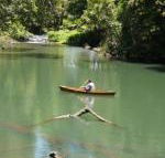 Figtree Getaway - Holiday Cairns