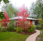 Dalrymples Guest Cottages - Holiday Cairns