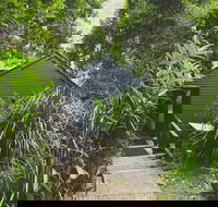 Montagues of Montville - Holiday Cairns