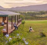 Hanging Tree Wines - Holiday Cairns