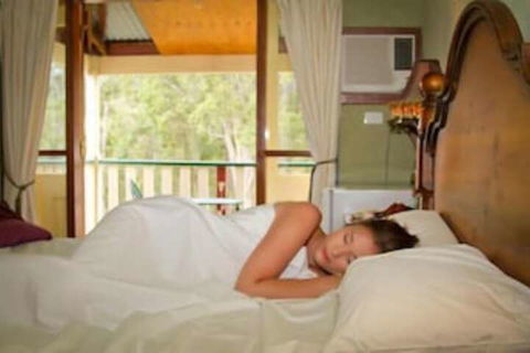 Bimbadeen Mountain Retreat - Holiday Cairns 6