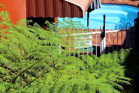 Matilda Motel - Holiday Cairns 3