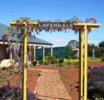 Lavendale Farmstay  Cottages York - Holiday Cairns