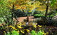 Riverwood Retreat - thumb 2