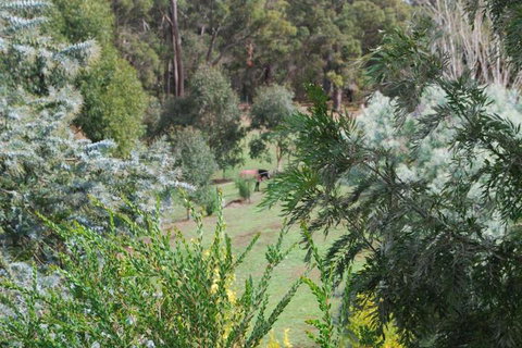 Riverwood Retreat - Holiday Cairns 4
