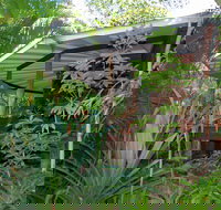 Mt Warning Rainforest Retreat - Holiday Cairns