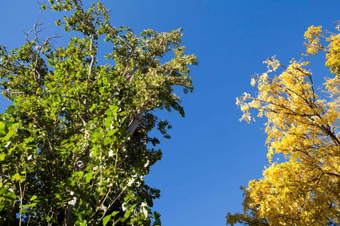 Strayleaves Caravan Park - Holiday Cairns 4