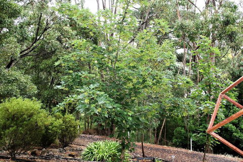 Tangenong Cottages - Holiday Cairns 4