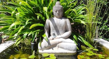 Vatu Sanctuary - Holiday Cairns 4