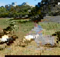 Country Cottages of Bridgetown - Holiday Cairns