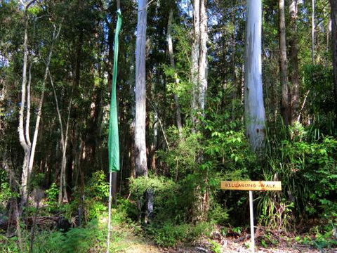 Yarralen Retreat - Holiday Cairns 4