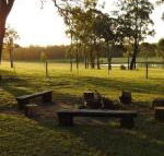 Wallaby Cottage cute Accom in bushland setting - Holiday Cairns