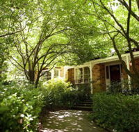 Leura Camellias - Holiday Cairns