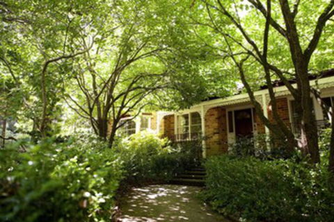 Leura Camellias - Holiday Cairns 0