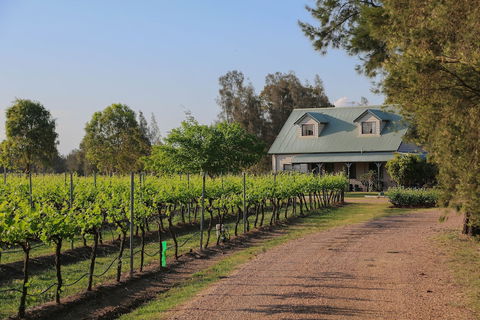 Emmas Cottage Vineyard - Holiday Cairns 0