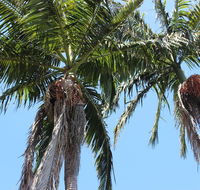 Tri Byron Bay - Holiday Cairns